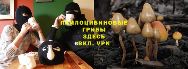 ALPHA-PVP Верея