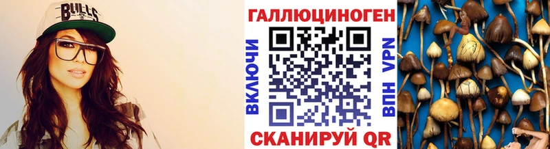 Галлюциногенные грибы мухоморы  Высоцк 